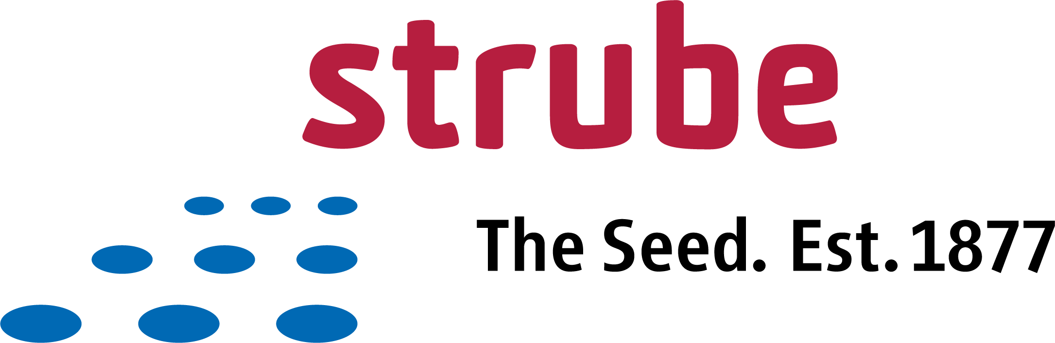Strube_Logo
