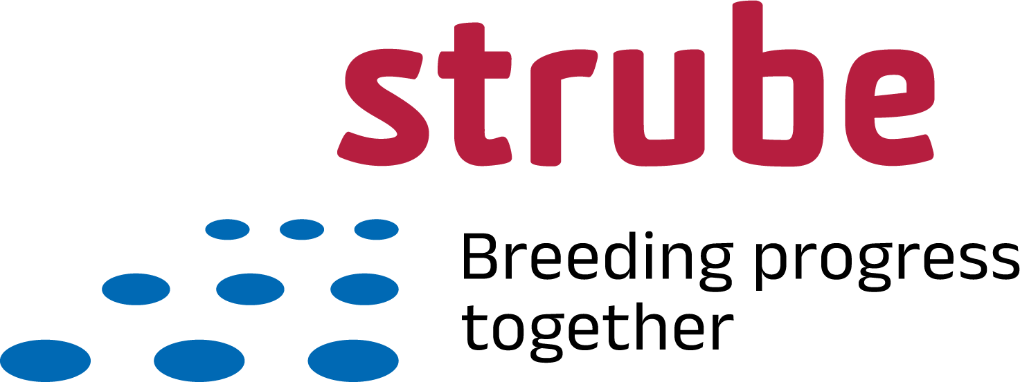 strube-logo-2023