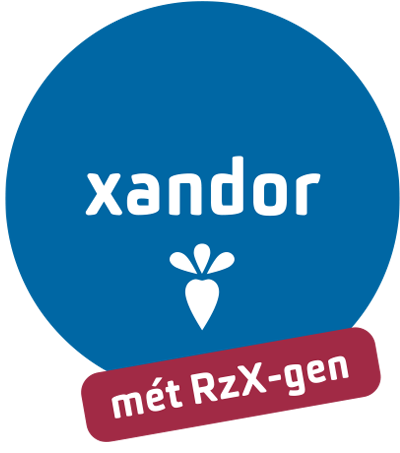 icoon-bieten-xandor_v2
